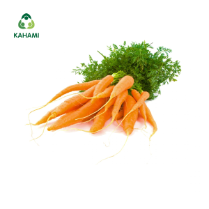 Cà rốt babi Kahami – Rau sạch