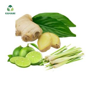 Combo Gừng Sả Chanh Kahami – Rau sạch