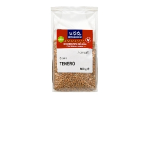 Hạt cỏ lúa mì hữu cơ Sottolestelle 500g