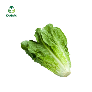 Xà Lách Roman Kahami – Rau sạch