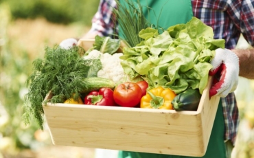 Phân Biệt Thực Phẩm Hữu Cơ Organic Và Thực Phẩm Sạch